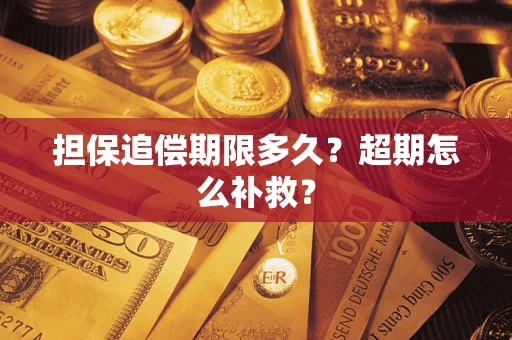 北京担保追偿期限多久？超期怎么补救？